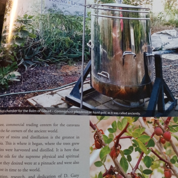 Book on Essential Oils - Seed to Seal - Picture 10 of 16